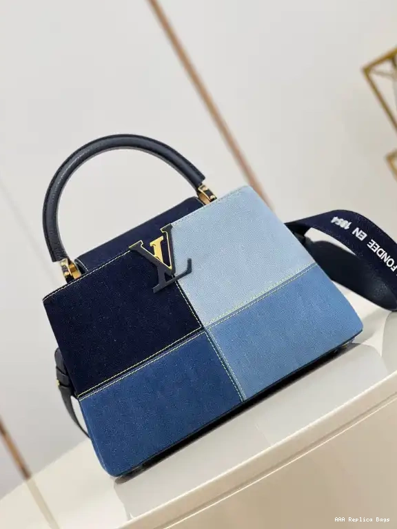 Aaa replica bags VUITTON CAPUCINES MM LOUIS 0613